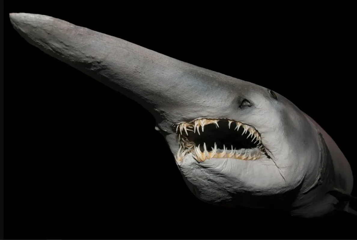 تکوسه گابلین